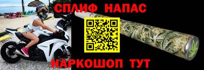 PSILOCYBIN Северобайкальск