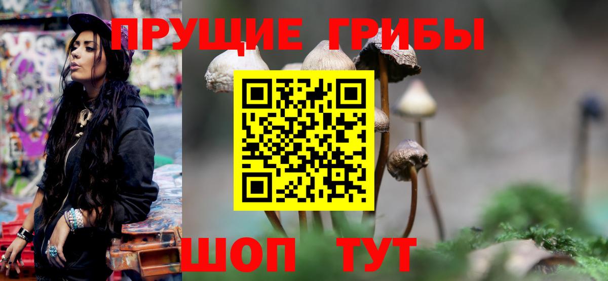 Серпухов  Галлюциногенные грибы Magic Shrooms  Вход с VPN 